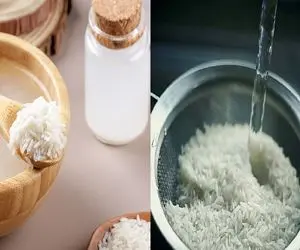 برنج خیس خورده رو چطور نگه داریم که خراب نشه؟/ چند تا نکته ساده که برنج سالم بمونه