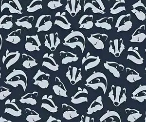 بازی فکری؛ باید تیز بینی ات در حد زیبایی زلیخا باشه تا دلفین رو بین گورکن ها پیدا کنی