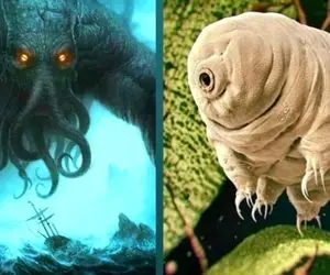 ترسناکترین موجودات دریا؛ خشکی هیچ، هیولاهای اعماق ناشناخته تن رو به رعشه میندازه