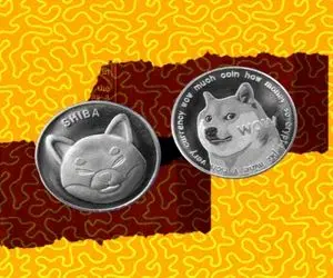 حماسه ای که شیبااینو و دوج کوین آفریدند!