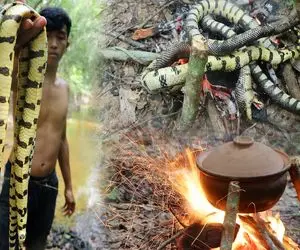 کباب مار؛ پیتون 70متری و از جنگل جمع و درسته و زنده میل داغ کرد تو حلقش کبابی بشه