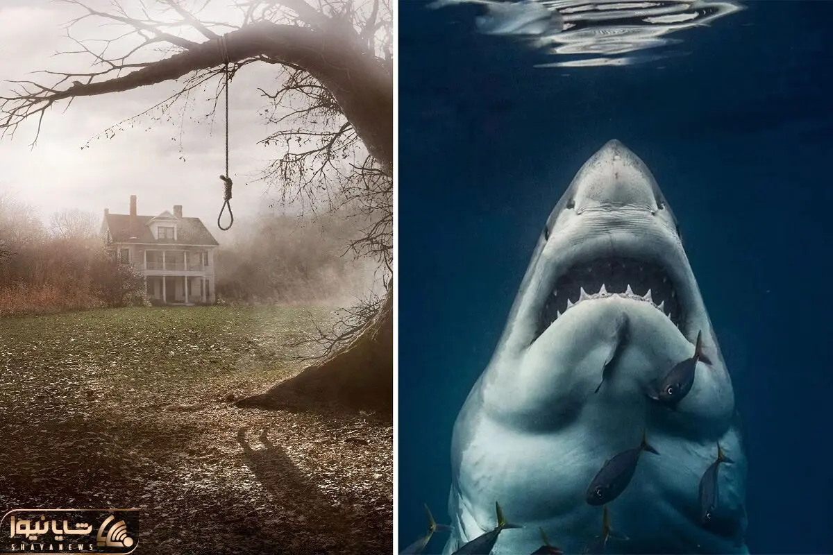 best horror movies base on a true story