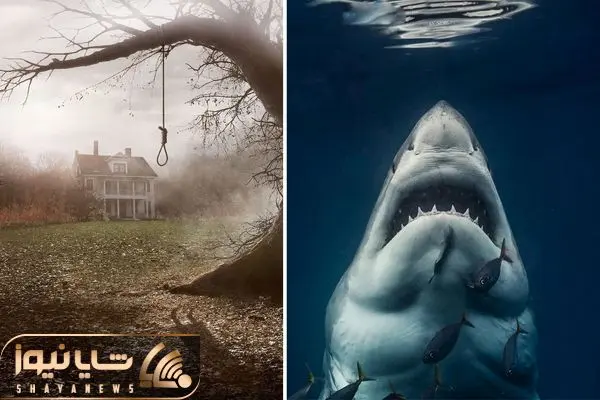 best horror movies base on a true story