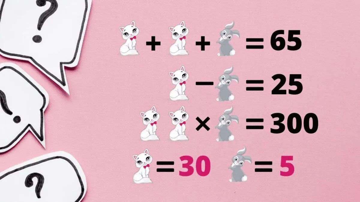 پاسخ-تست-هوش-ریاضی-ارزش-گربه-و-خرگوش