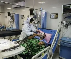 کرونا جان 16 نفر دیگر را گرفت