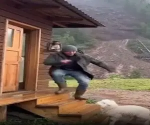 معماری طبیعت؛ تلاش مرد و بره اش برای نجات از زلزله در کوه