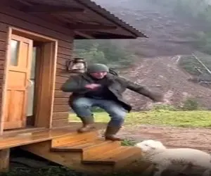 معماری طبیعت؛ تلاش مرد و بره اش برای نجات از زلزله در کوه