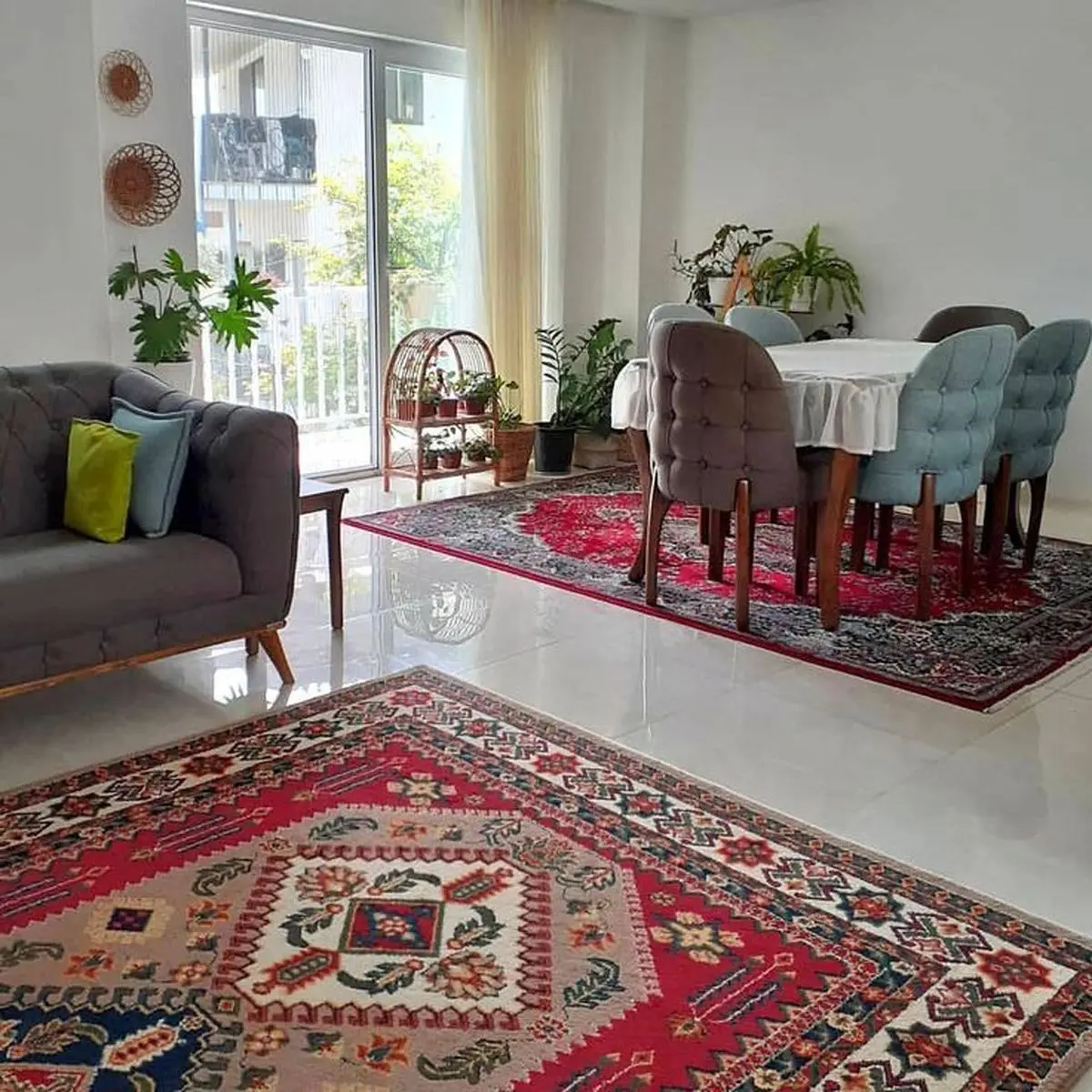 قوانین زیر پا گذاشته دکوراسیون