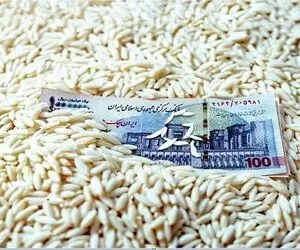 قیمت جدید برنج ایرانی و خارجی در بازار