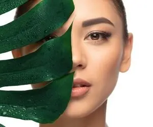 6 ماده غذایی محافظ پوست شما در برابر آفتاب