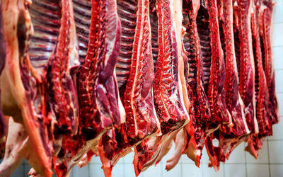 گوشت قرمز رکورد دار شد؛ رشد ۹۱ درصدی قیمت در یک سال