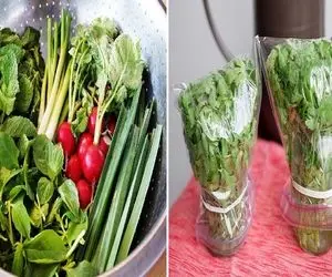 جلوگیری از پلاسیدن سبزی خوردن / ساده ترین راه تازه نگه داشتن سبزی به مدت 2 هفته
