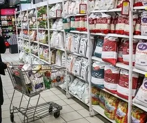 ماجرای پرداخت یارانه ۲۲۰ هزار تومانی چیست به چه کسانی پرداخت می شود؟