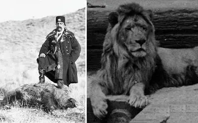 حکایت شیر محبوب ناصرالدین شاه و سه نگهبان دزد که از غذای شیر بیچاره اختلاس می‌کردن