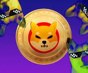 "شیبا اینو" درحال انفجار؛حماسه ای جدید در راه است؟