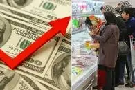 قیمت دلار امروز شنبه 2 اسفند 1404؛ از پارسال تا امسال چقدر فقیرتر شده ایم؟