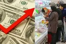 قیمت دلار امروز شنبه 2 اسفند 1404؛ از پارسال تا امسال چقدر فقیرتر شده ایم؟