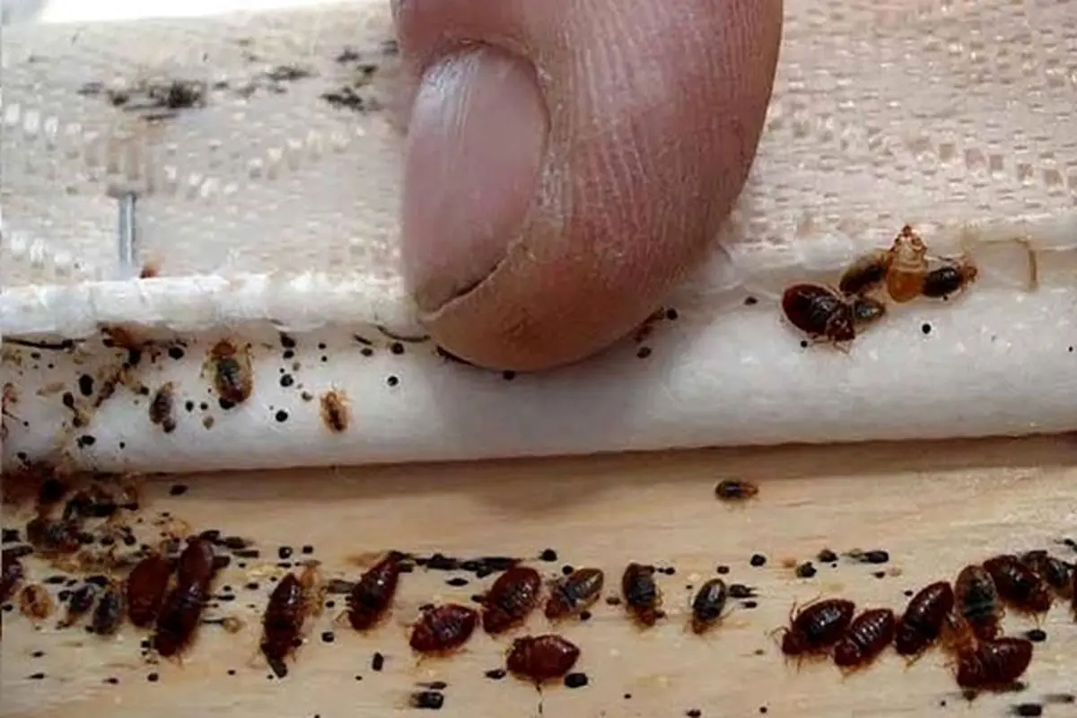 abef71ec-c659-4887-ad29-90151626a02f