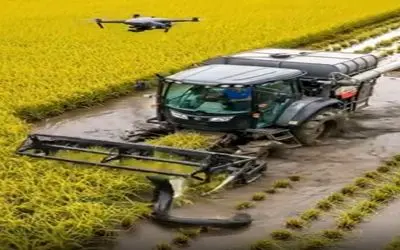 کشاورزی نوین؛ با ماشین کمباین برنج برداشت میکردن مار گیر کرد لاش غوغا شد