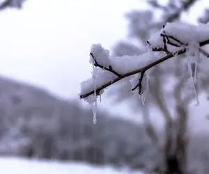 هشدار هواشناسی نسبت به «سرمای نامتعارف» در ۳۰ استان