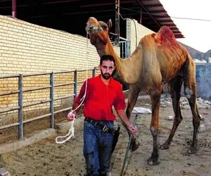 شغل عجیب مردی که وظیفه‌اش کُشتن هشت «نفر» در روز است!