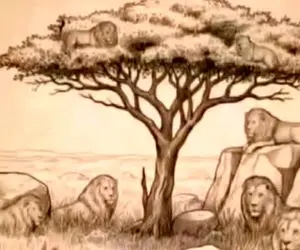 بازی فکری؛ اگه با هوشت به همه میگی زهی خیال باطل ببین چندتا شیر تو تصویر داریم