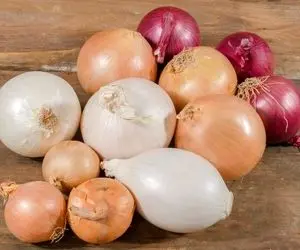 آیا می دانید فرق پیاز قرمز، سفید و زرد چیست؟