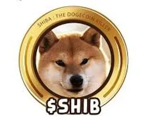 شیبا اینو در در منطقه حساس؟