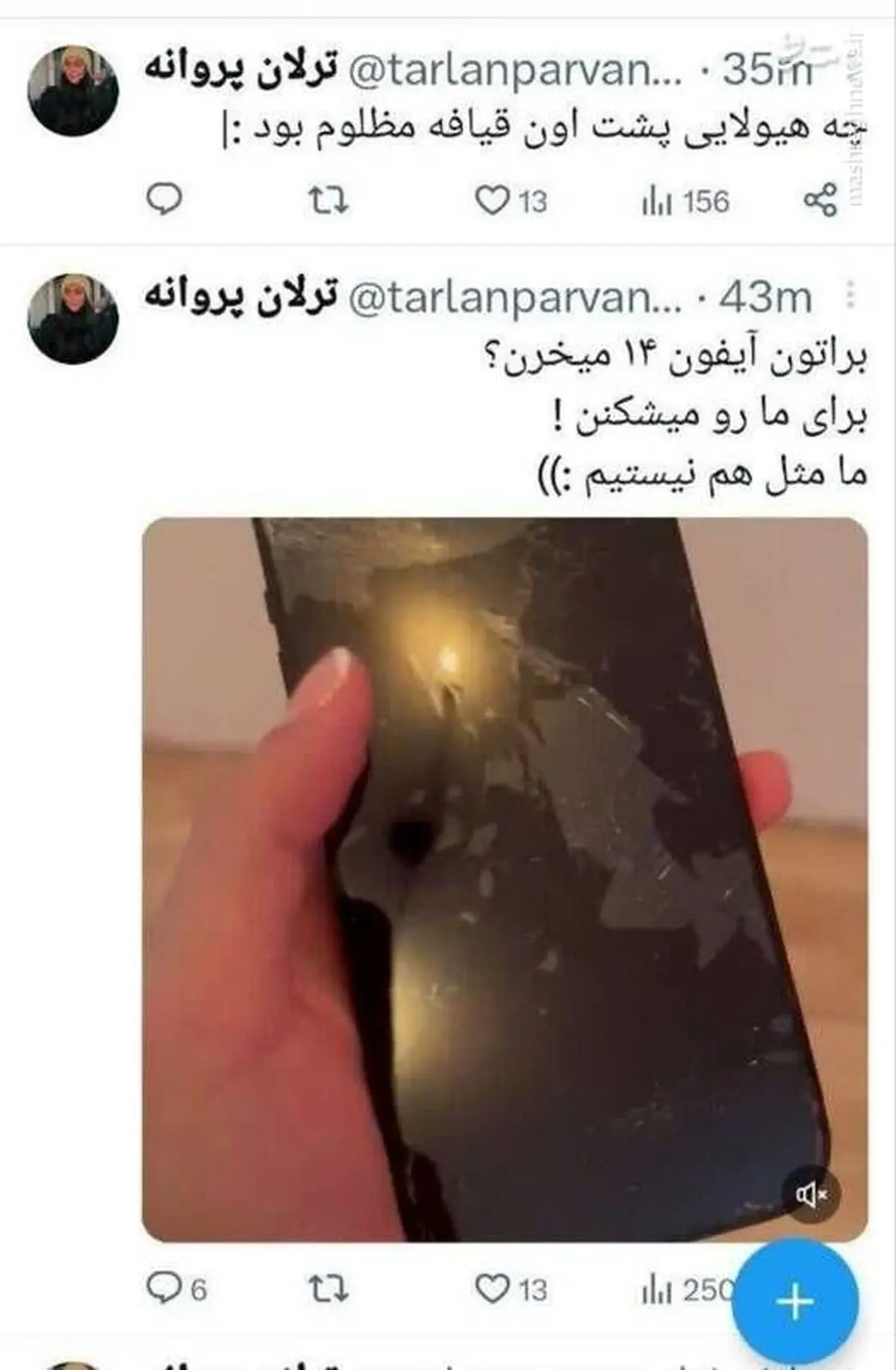 ترلان+پروانه+(2)