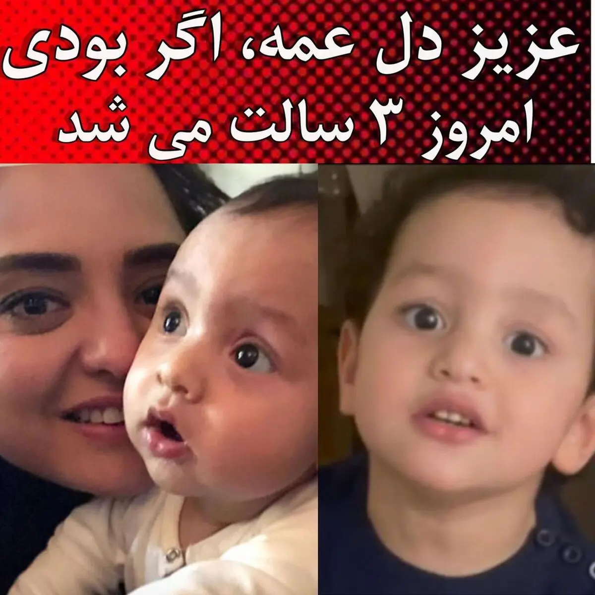 نرگس محمدی
