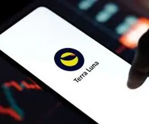 شکایتی دردآور از رقیب شیبااینو!