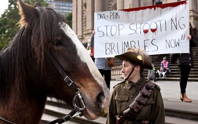 در استرالیا چرا اسب‌ های وحشی را قتل عام می کنند؟