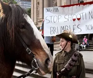 در استرالیا چرا اسب‌ های وحشی را قتل عام می کنند؟