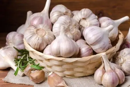 ترفندهای خانه داری؛ 3 روش نگهداری از سیر بدون پوک شدن