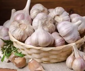 ترفندهای خانه داری؛ 3 روش نگهداری از سیر بدون پوک شدن