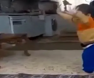 آواز شاد؛ با دیدن این بچه که خواب بود تا صدای آهنگ شنید پاشد رقصید قند تو دل آب میکنه