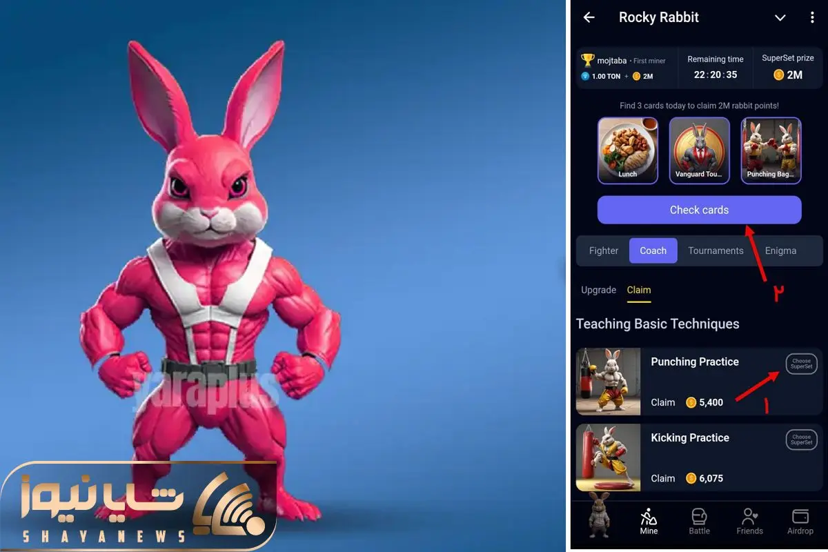 کارت های راکی رابیت ( ROCKY RABBIT) امروز شنبه ۱۷ شهریور ماه +آموزش وارد کردن