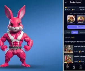 کارت های راکی رابیت ( ROCKY RABBIT) امروز شنبه 17 شهریور ماه +آموزش وارد کردن