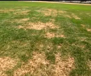 وضعیت خطرناک ورزشگاه قلعه حسن خان در آستانه بازی استقلال