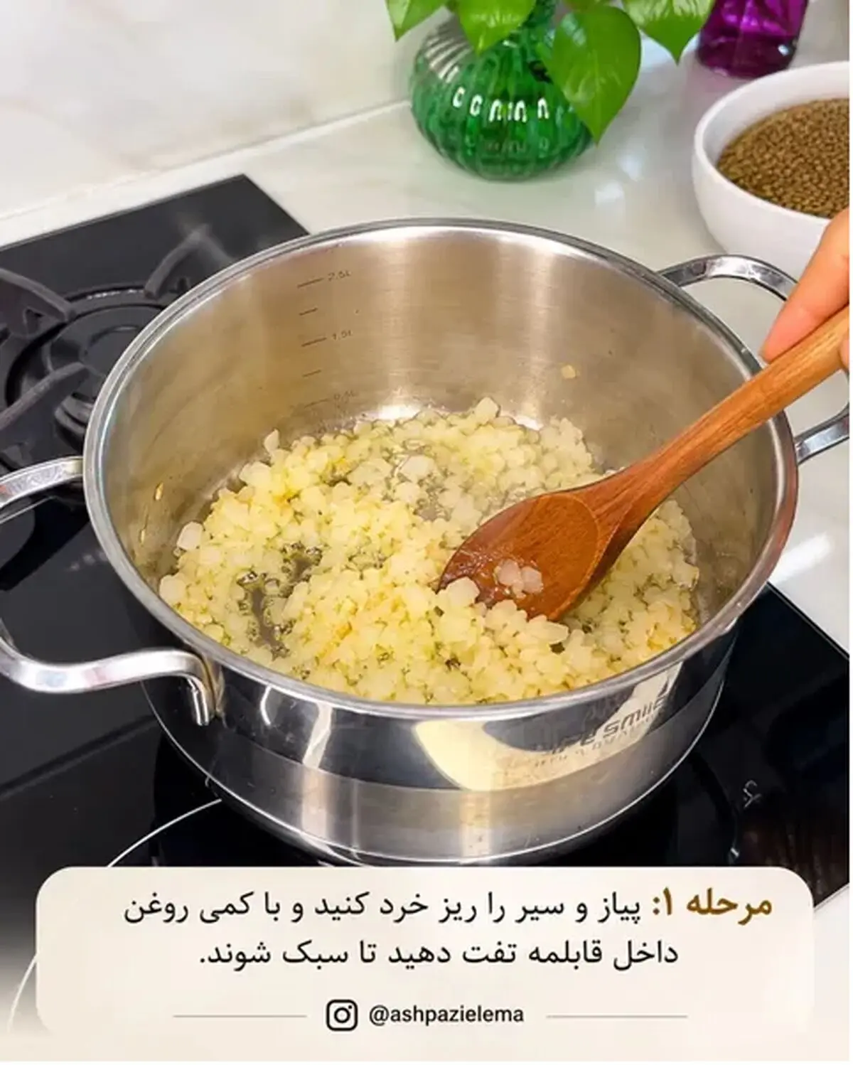 عدسی 1