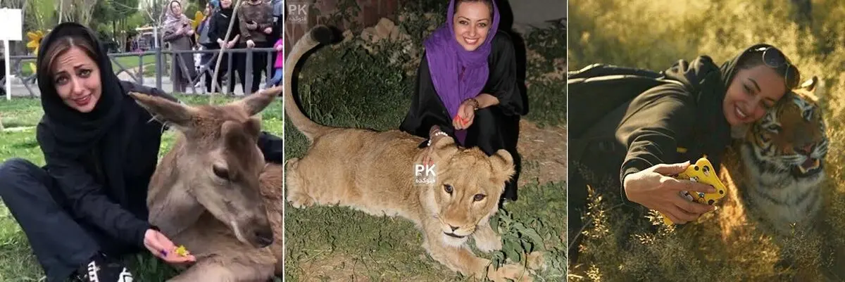 نفیسه روشن