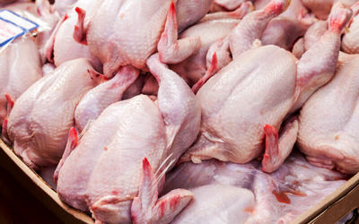 قیمت مرغ گرم امروز سه شنبه 10 فروردین 1400 