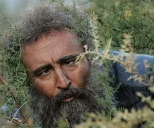 پشیمانی مهران احمدی از بازگشت به نقش بهبود فریبا در پایتخت
