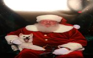 بابانوئل با شیبا دوج کوین چه کرد؟