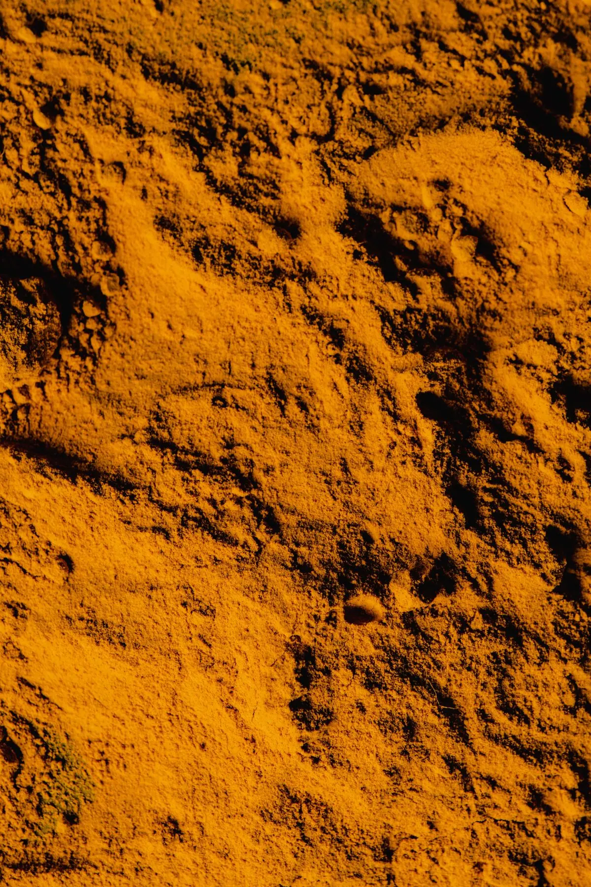 pexels-eva-bronzini-6104651