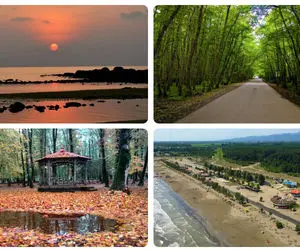 جنگل و ساحل گیسوم؛ مکانی فوق العاده که انبوه سبز با آبی دریا ملاقات می کنن