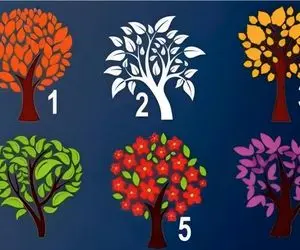 یک درخت انتخاب کن تا بگم ذاتا ترسویی یا بچه زرنگی/ این تست شخصیت تمام رازاتو لو میده