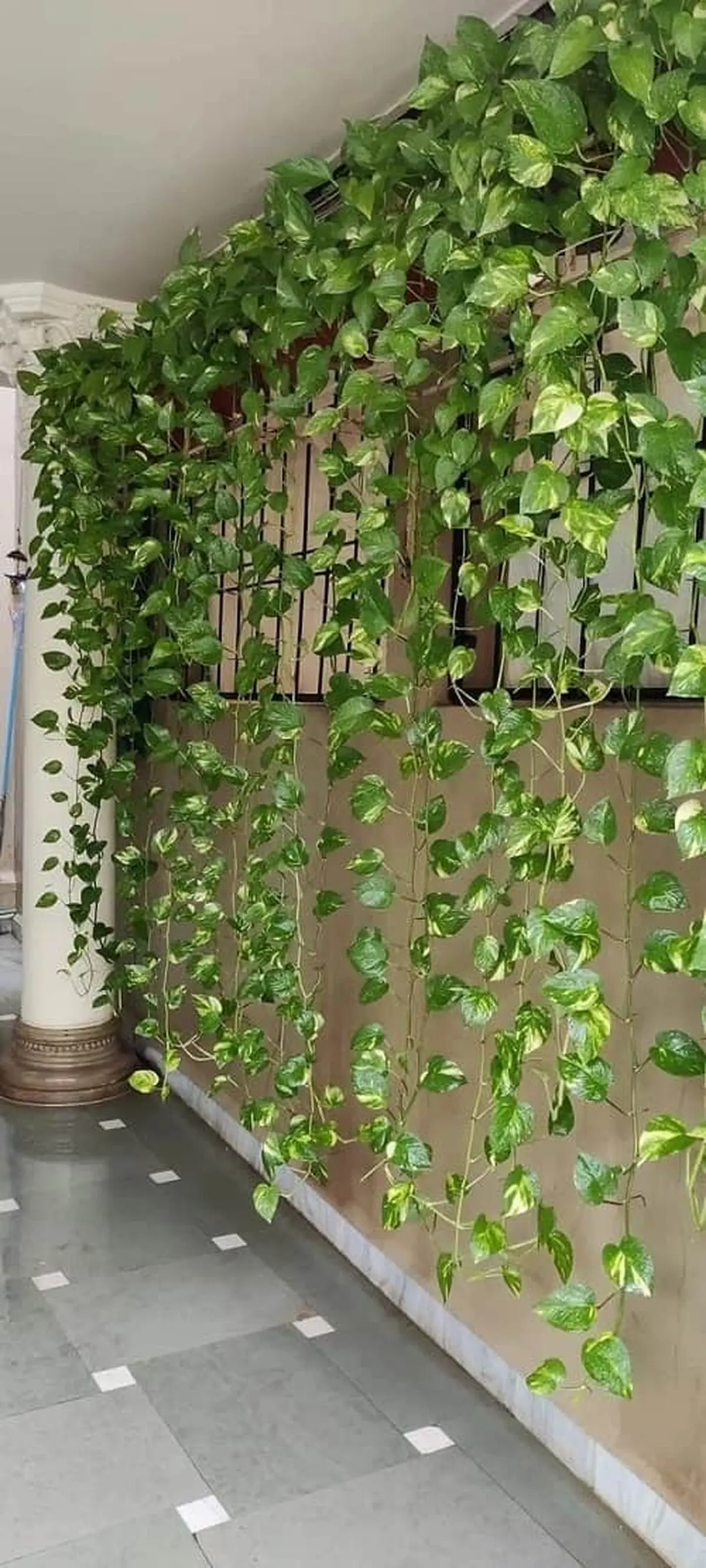 چسبنده2