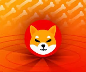 دلیل شوکه شدن دارندگان شیبااینو؟