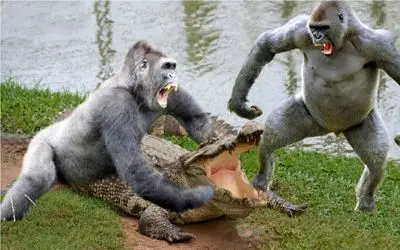 حیات وحش مصنوعی/گوریل برای نجات جون بچش میره تو دل کروکودیل/با دو تا حرکت گیرپاچش کرد